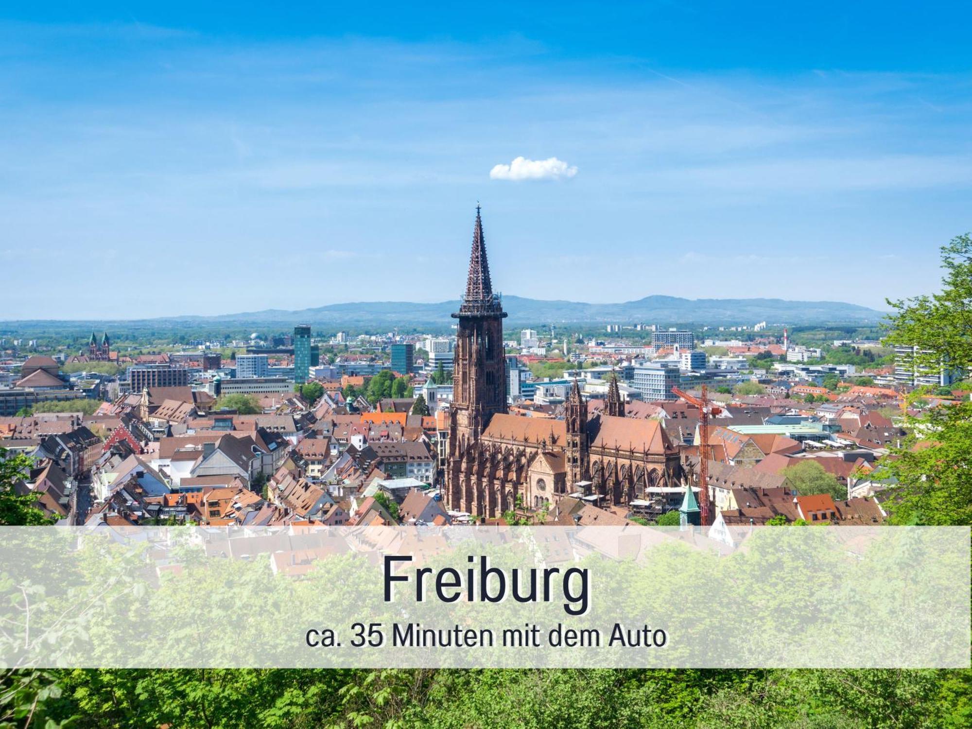 Herzgruen Direkt An Traumhaften Wanderwegen Balkon Mit Toller Aussicht Sauna Im Haus Tiefgarage E-Ladestation Тодтнауберґ Екстер'єр фото