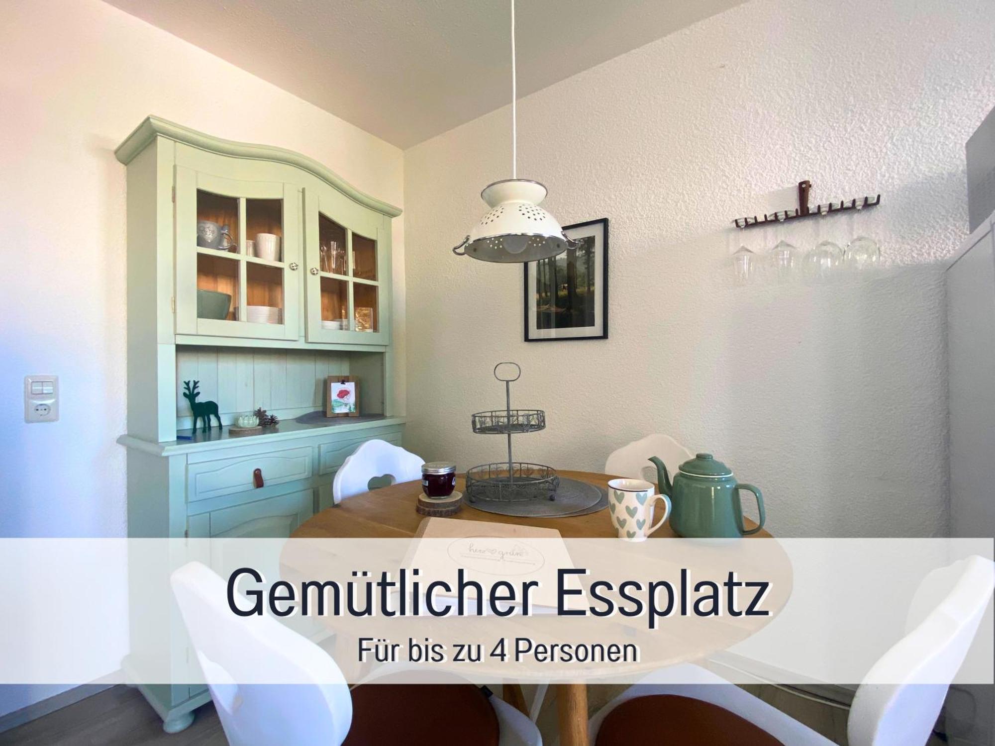 Herzgruen Direkt An Traumhaften Wanderwegen Balkon Mit Toller Aussicht Sauna Im Haus Tiefgarage E-Ladestation Тодтнауберґ Екстер'єр фото