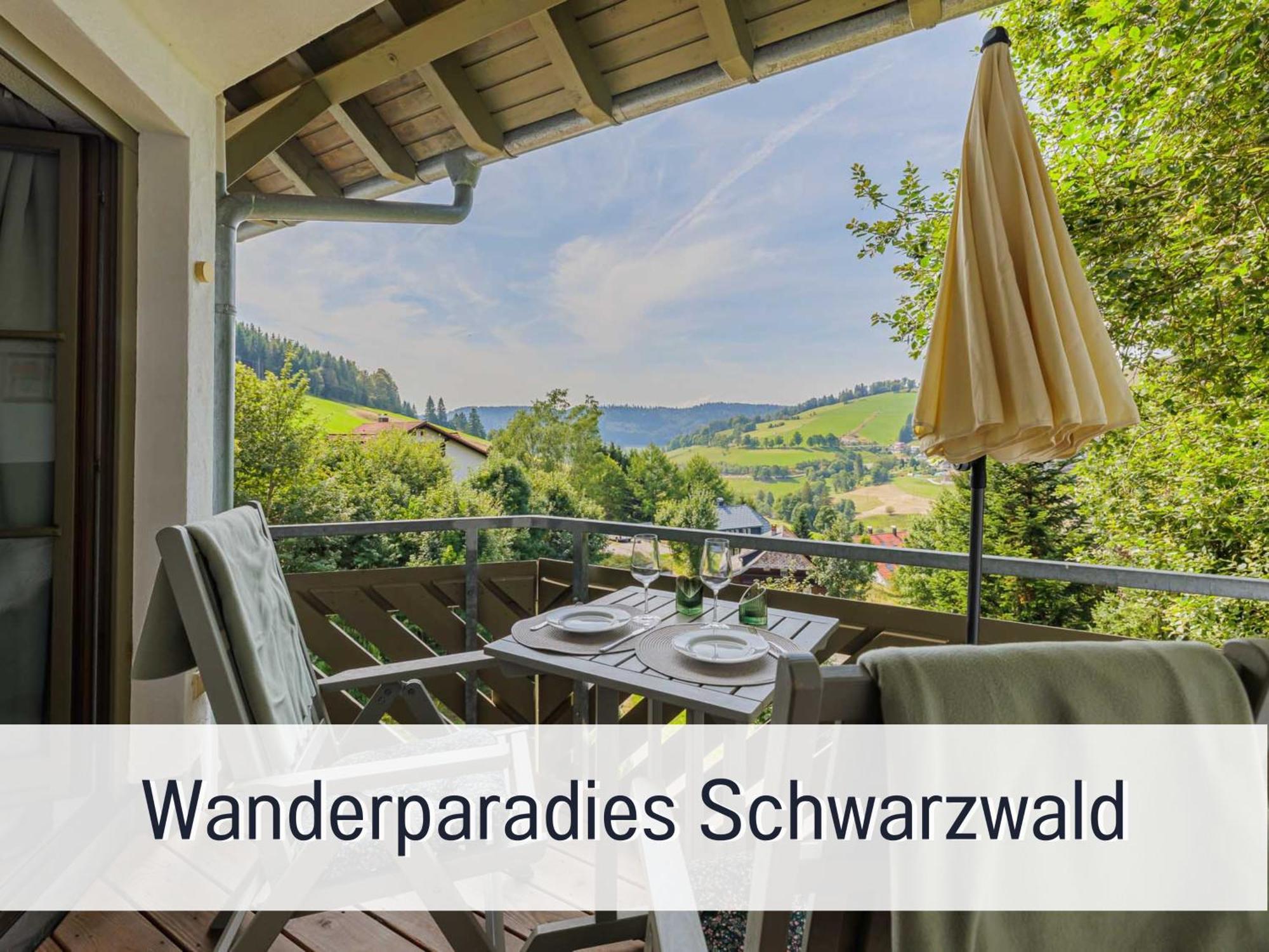 Herzgruen Direkt An Traumhaften Wanderwegen Balkon Mit Toller Aussicht Sauna Im Haus Tiefgarage E-Ladestation Тодтнауберґ Екстер'єр фото